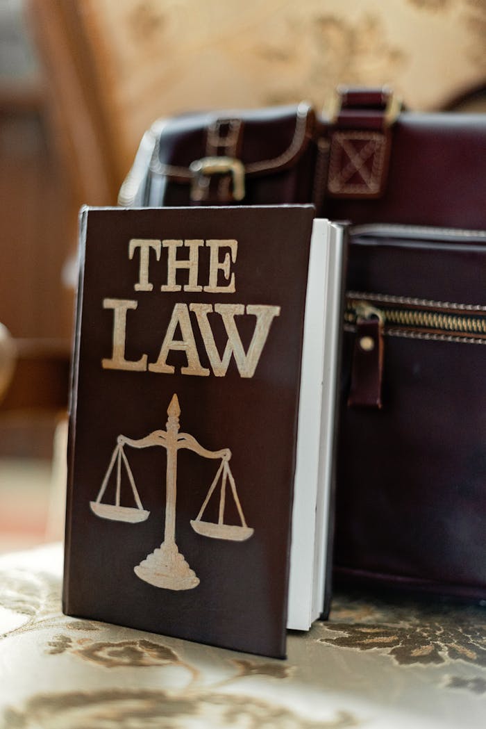 service-03 Close-up of a law book titled 'The Law' beside a leather briefcase.